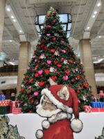 銀座を歩くと・・・