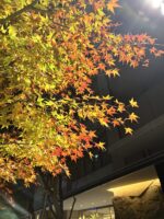 日時の過ぎるのは何と早い!