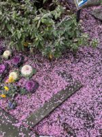 日本は平和です、ね!