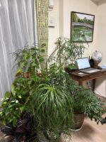 まだまだ続きます